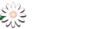 SB-Blumen